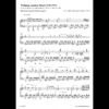 Musikpartitur von Mozarts Klavierkonzert Nr. 21 in C-Dur, KV 467, Arrangement von André Sebastian Wickel.